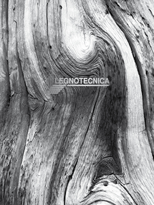 Legnotecnica . company profile